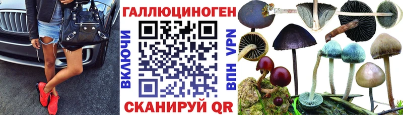 Галлюциногенные грибы Psilocybine cubensis  Яровое 