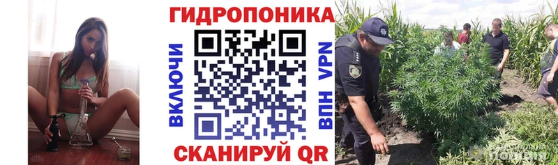 Марихуана семена  закладка  гидра вход  Яровое 